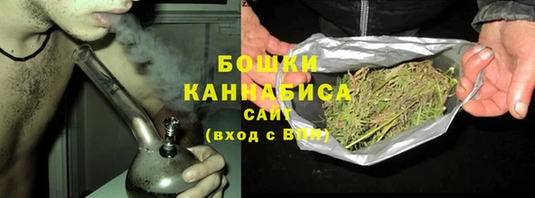 тгк Богородицк