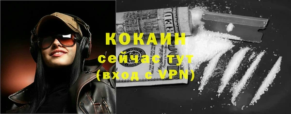 тгк Богородицк