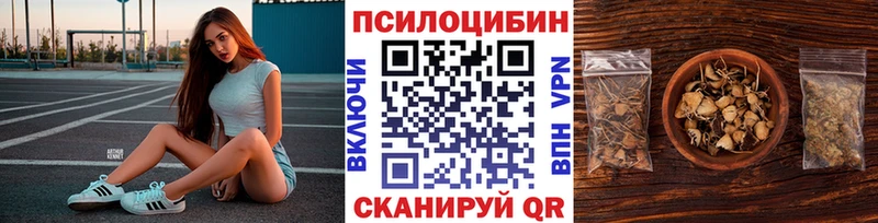 цена наркотик  Невель  Галлюциногенные грибы GOLDEN TEACHER 